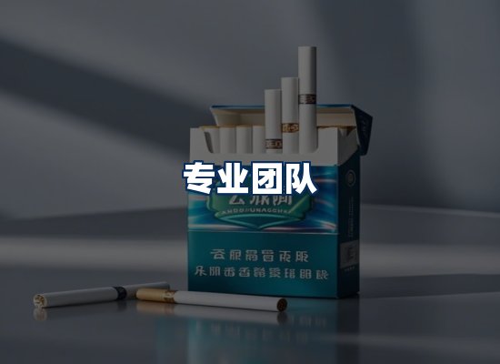 专业团队